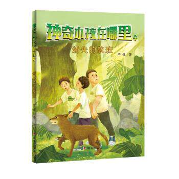 【正版书籍】 神奇小孩在哪里-消失的航班 严钰 著 明天出版社