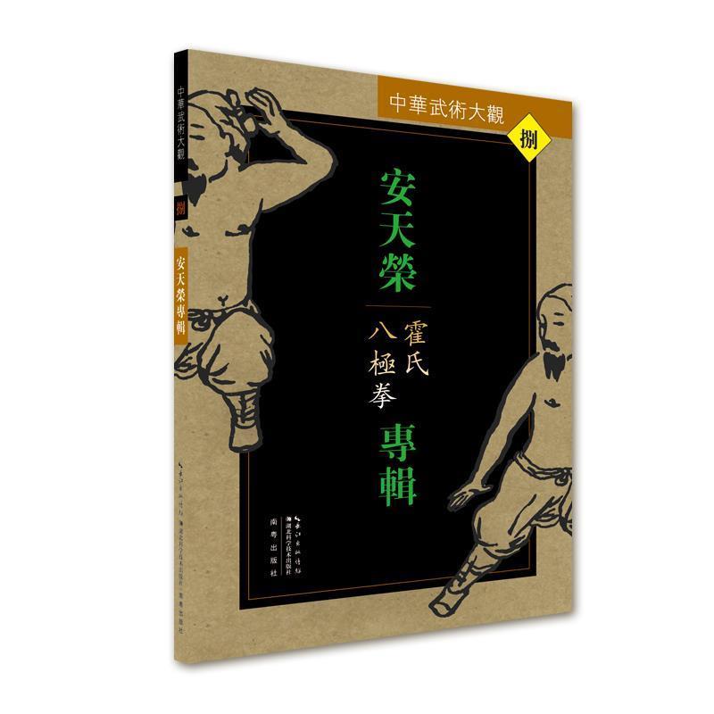 【正版书籍】 安天荣专辑:霍氏八极拳 安天荣 湖北科学技术出版社