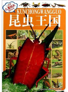 【正版书籍】 昆虫王国-小风车儿童成长百科全书 张卫红 湖北科学技术出版社