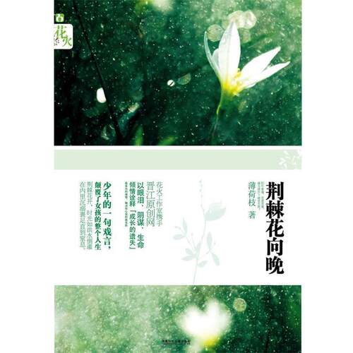 【正版书籍】 荆棘花向晚 薄荷枝 湖南少儿出版社