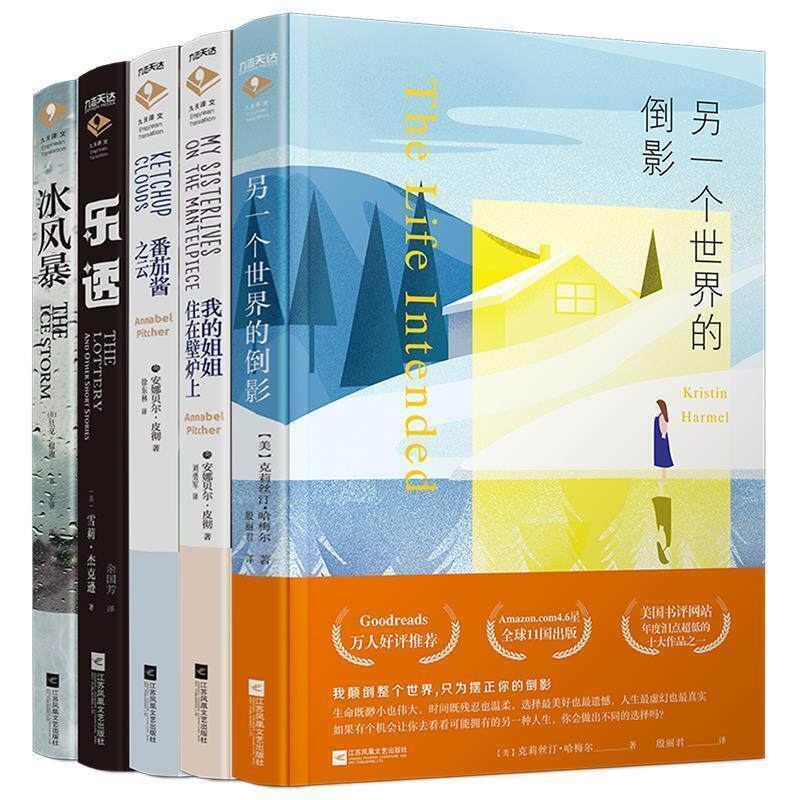 【正版书籍】 另一个世界的倒影 (美)克莉丝汀·哈梅尔 江苏凤凰文艺出版社