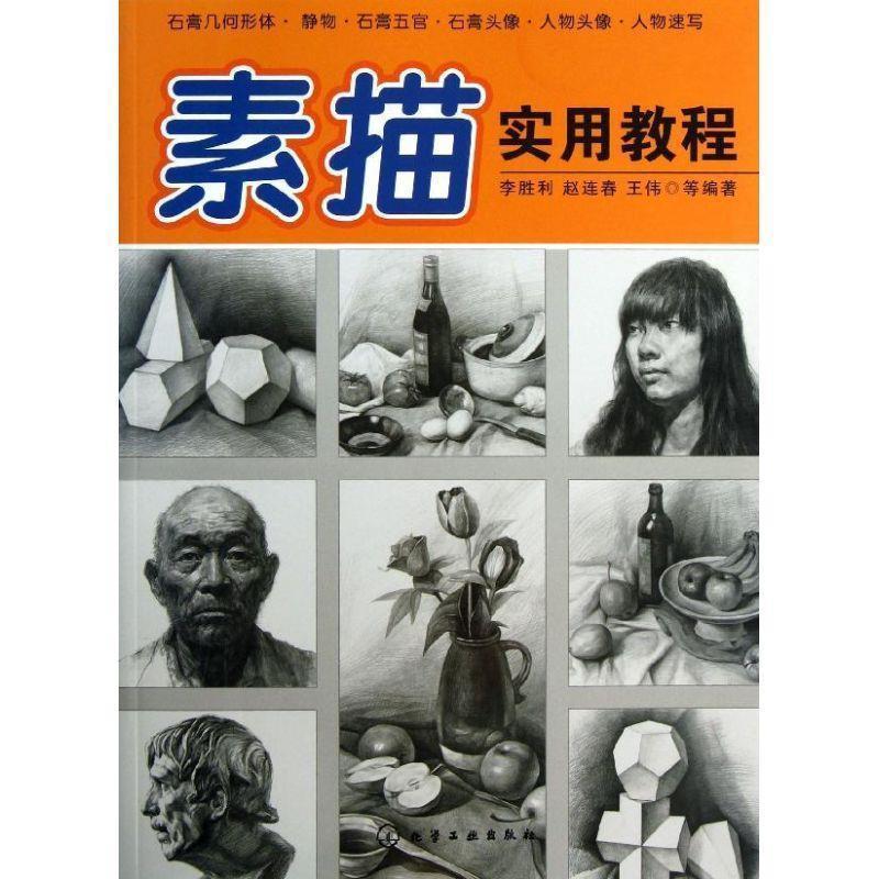 【正版书籍】 素描实用教程 李胜利,赵连春,王伟 等编著 化学工业出版社
