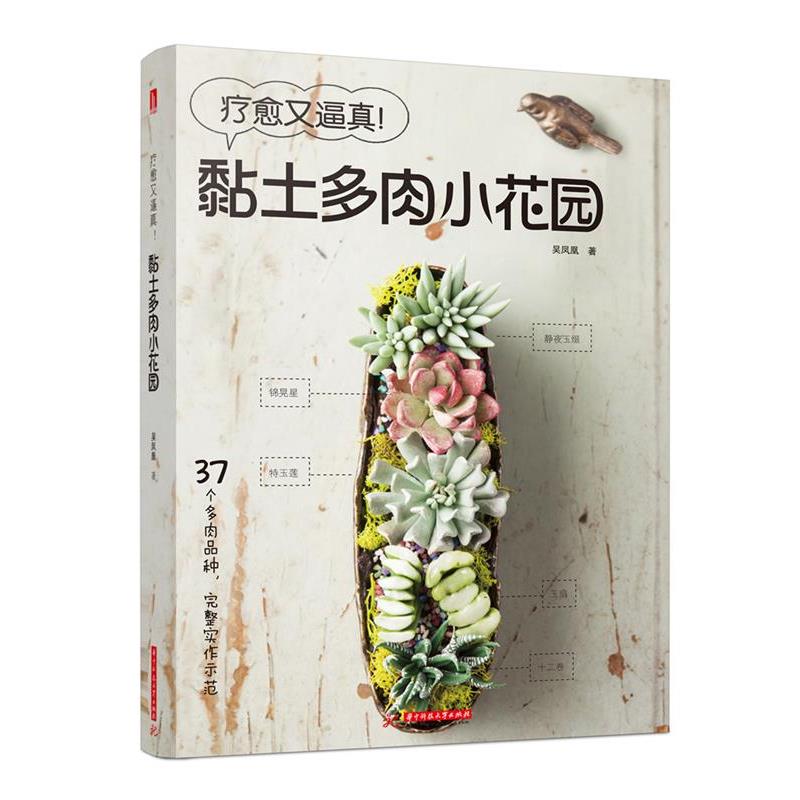 【正版书籍】 疗愈又逼真!黏土多肉小花园 吴凤凰 华中科技大学出版社