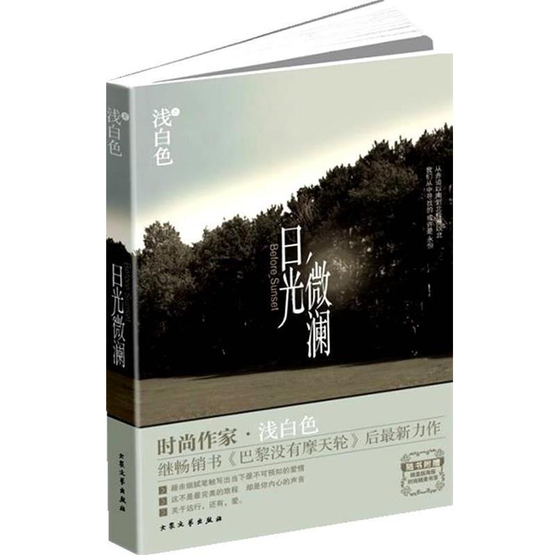 【正版书籍】 日光微澜 浅白色 著 大众文艺出版社