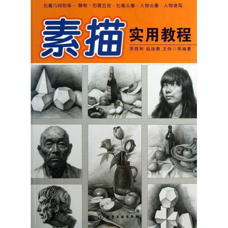 【正版书籍】 素描实用教程 李胜利,赵连春,王伟 等编著 化学工业出版社