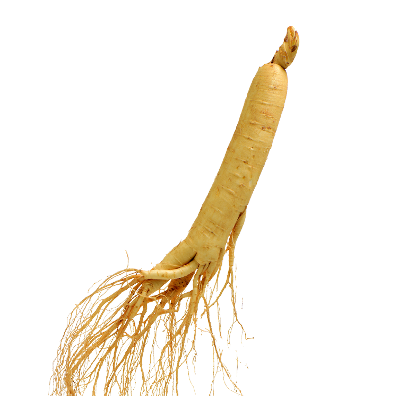 巧天然长白山人参鲜人参110g全须整根人参酒浸保鲜参泡酒煲汤专用