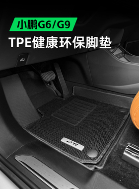 奥驰邦25款小鹏G6G9专用汽车地垫环保型防水后备箱双层地毯地垫