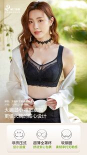 第二密码 蕾丝聚拢矫正大胸显小胸文胸8168CDE 内衣女薄款