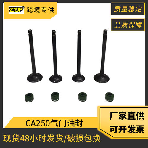 摩托车发动机气门适用Honda CBT250 CA250 CMX250 253FMM气门油封