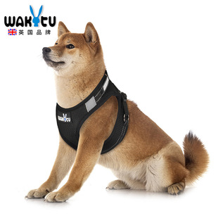 背心式 Wakytu英国尼龙发光猫咪背带 狗链户外伸缩胸背带宠物用品