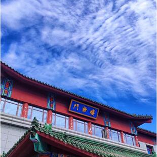 北京中医医院跑腿西苑医院代办中国科学院代购取邮寄代问诊