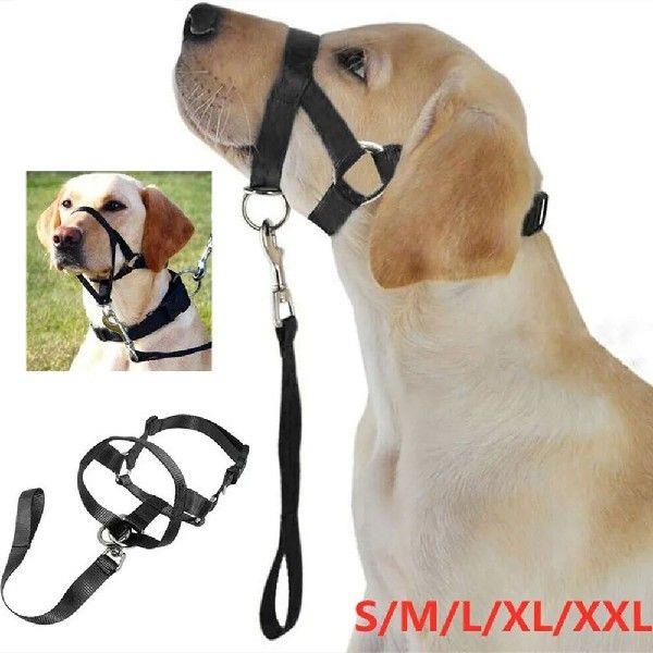 Dogalter Dog Training Head Collar, Halter Neck Nylon