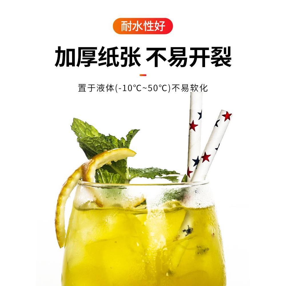 100pcs/Set Black Cocktail Straws Black Plastic Straw For Bir