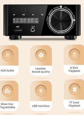 50Wx2 Digital Audio Power Amp With Digital Display CS8673E