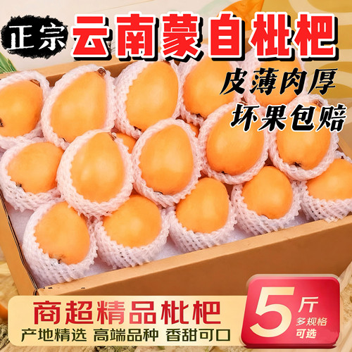 新鲜枇杷云南蒙自枇杷现摘3斤5斤