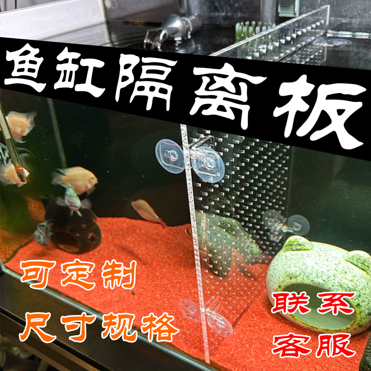 鱼缸隔离板分隔板透明防撞隔断板亚克力定制乌龟隔离板防跳缸挡板