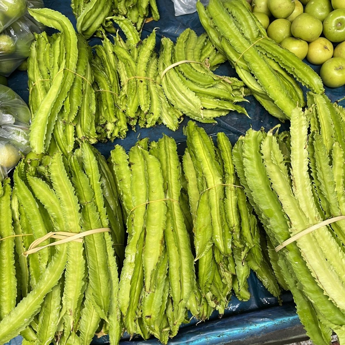 云南四棱豆 四角豆西双版纳新鲜特产四棱豆孕妇龙豆皇帝杨桃包邮