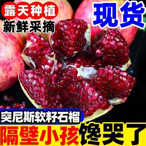四川会理突尼斯软籽石榴现货新鲜头茬果现摘当季孕妇水果一整箱