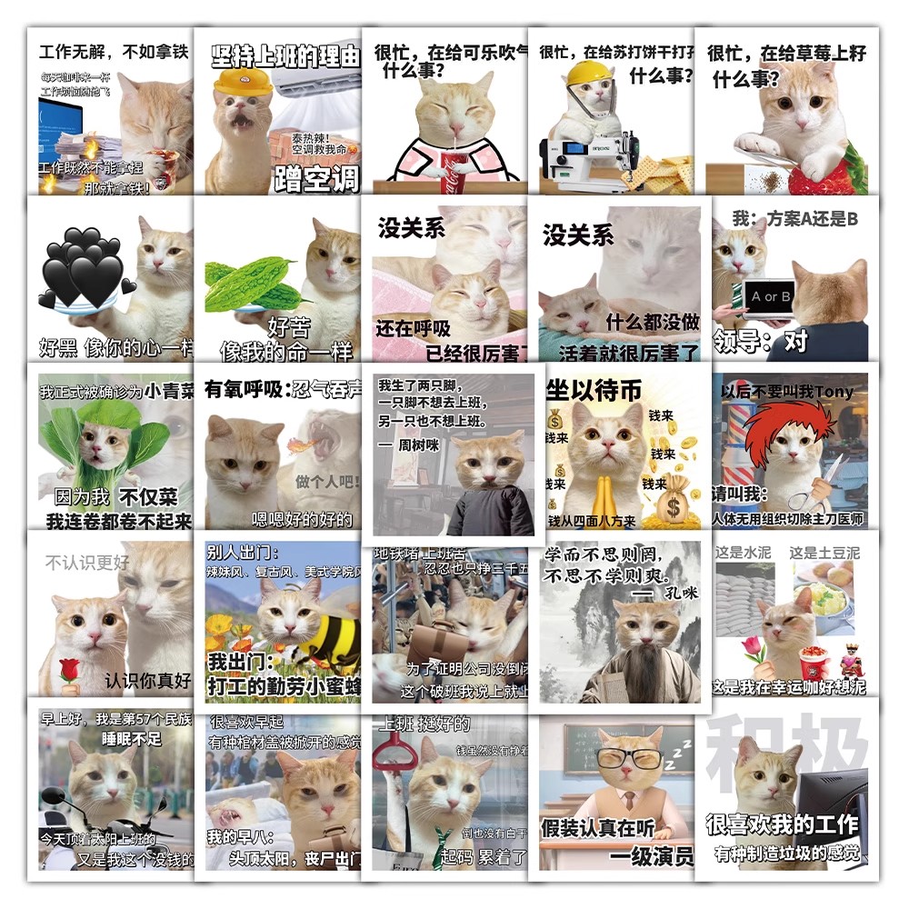 猫猫有理表情包贴纸合集