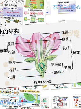 128张生物知识点贴纸ins风初中生创意学习生物图文知识点总结贴画