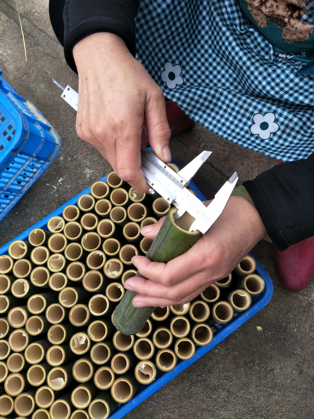 竹筒粽子模具家用商用摆摊专用神器新鲜竹子制作竹筒糯米饭粽子