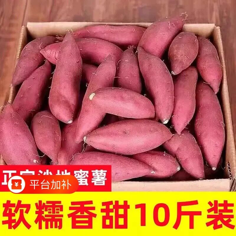 直销板栗小红薯新鲜食用地瓜手指