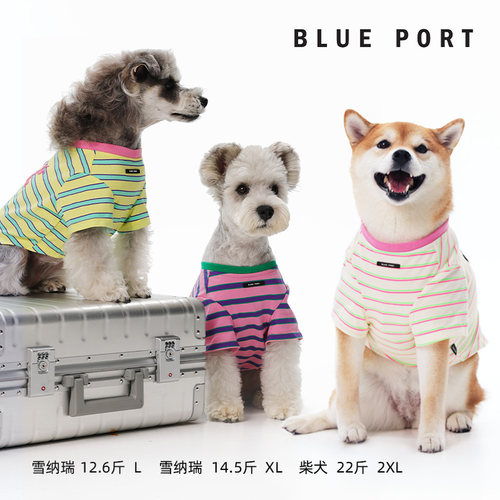 BluePort猫狗条纹T恤舒适背心