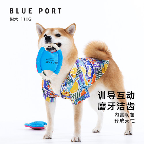 blueport宠物互动绳结布艺玩具
