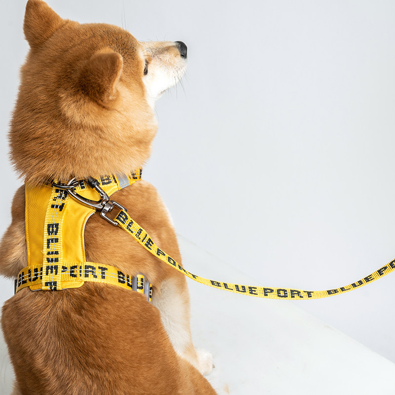 BluePort宠物狗多功能牵引胸背项圈外出遛狗绳反光加长牢固狗绳