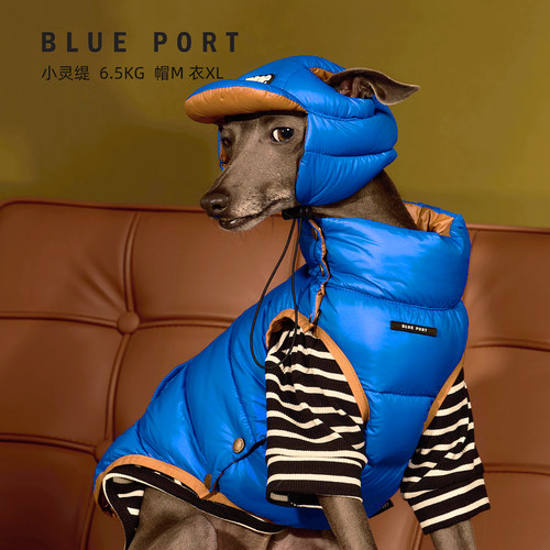 Blueport狗狗猫咪轻薄羽绒服