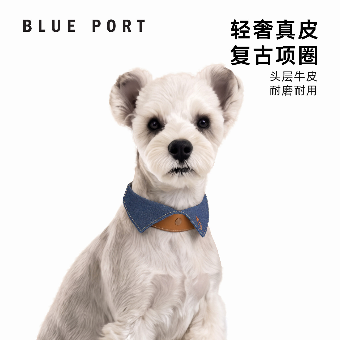 Blueport中小型犬狗狗真皮项圈牵引牛仔假领头层牛皮猫狗通用脖圈