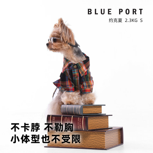 blueport宠物格纹衬衣