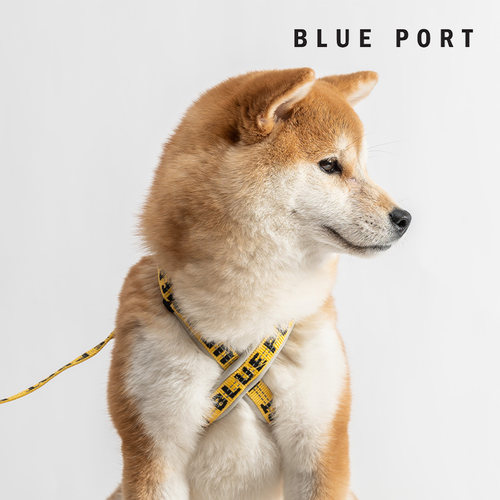 blueport宠物胸背入会享优惠牵引