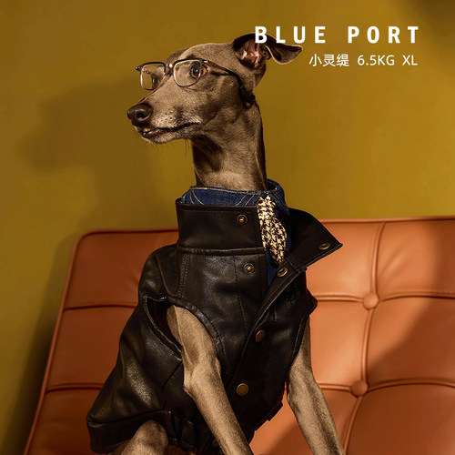 Blueport猫狗通用PU皮衣秋冬装