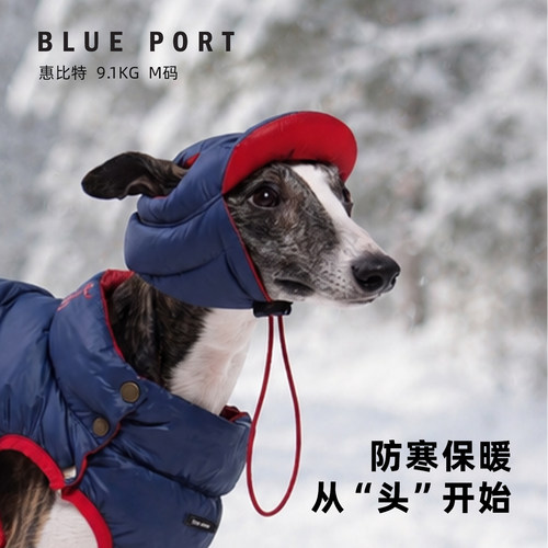 Blueport狗狗超轻保暖羽绒帽