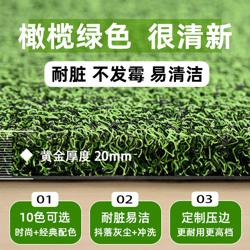 绿色丝圈地垫加厚入户门垫防滑耐脏脚垫门垫进门门口地垫塑料垫子