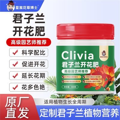 君子兰专用开花肥官方正品