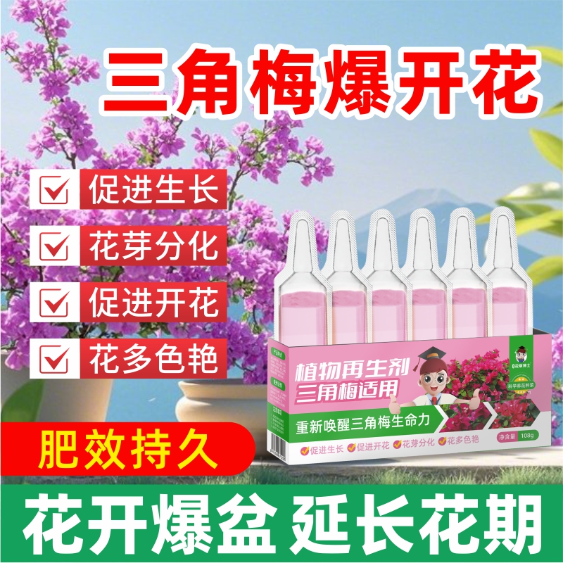 三角梅开花专用再生剂绿植花卉盆栽促花爆花养花枝繁叶茂促开花