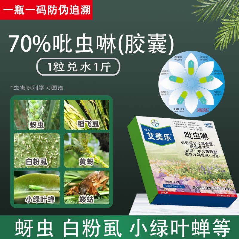 小白药吡虫啉杀虫剂高浓度不伤花卉植物除病虫害杀菌胶囊颗粒药剂