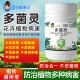 50%多菌灵多肉植物蔬菜月季 花卉黄叶黑斑家用专用灭菌杀菌剂
