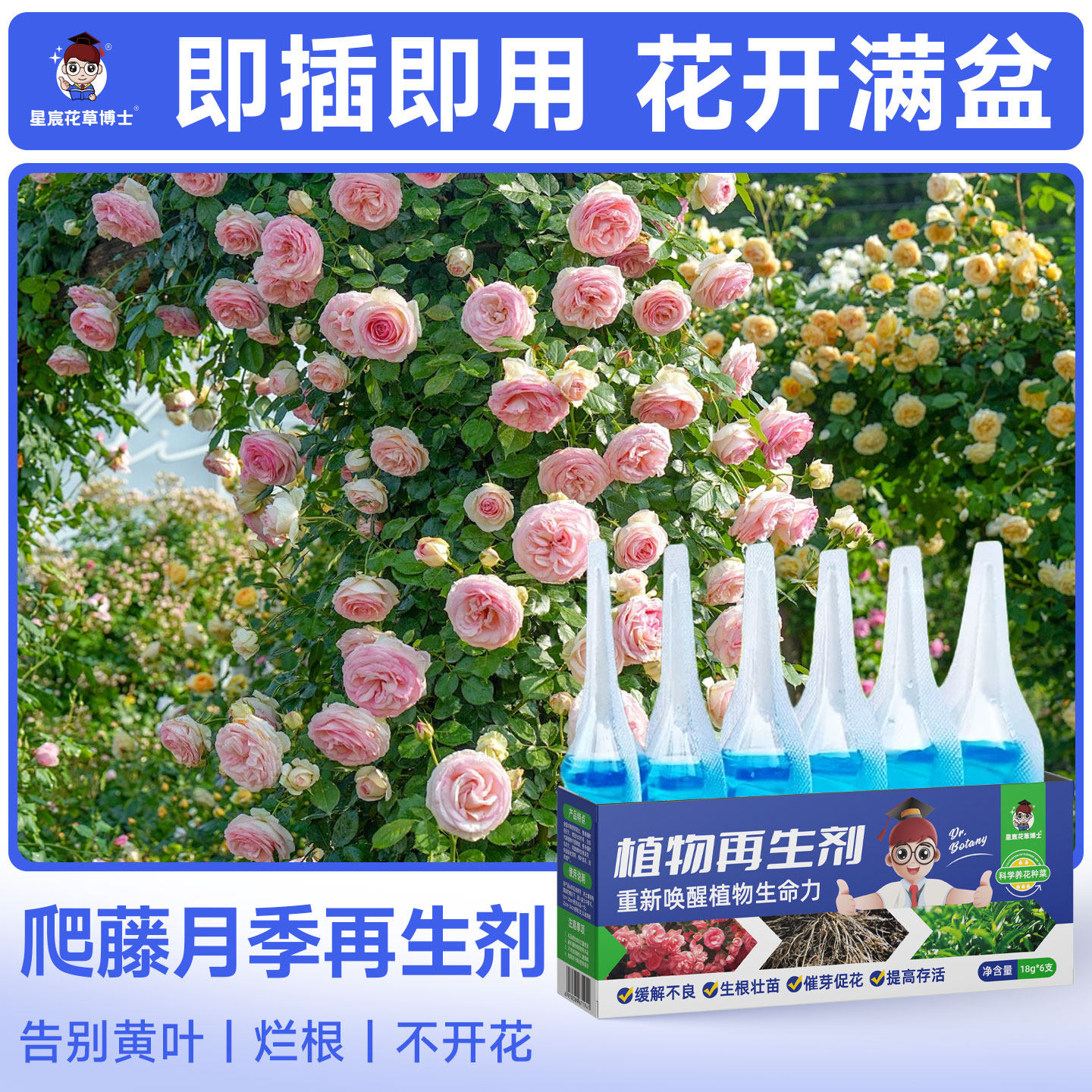 爬藤月季专用植物再生剂通用营养液防黄叶促开花盆栽花卉开花肥料,鲜花速递/花卉仿真/绿植园艺,家庭园艺肥料,淘宝优惠券,粉丝福利购,淘宝优惠卷