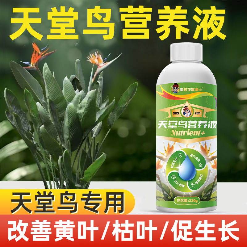 星宸花草博士天堂鸟专用营养液肥料绿植黄叶卷边盆栽植物通用肥料