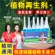 植物再生剂通用营养液绿植花卉复活液发财树富贵竹蝴蝶兰盆栽园艺