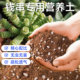 钱串专用营养土阳台室内种植土多肉植物移栽换盆通用有机泥炭土