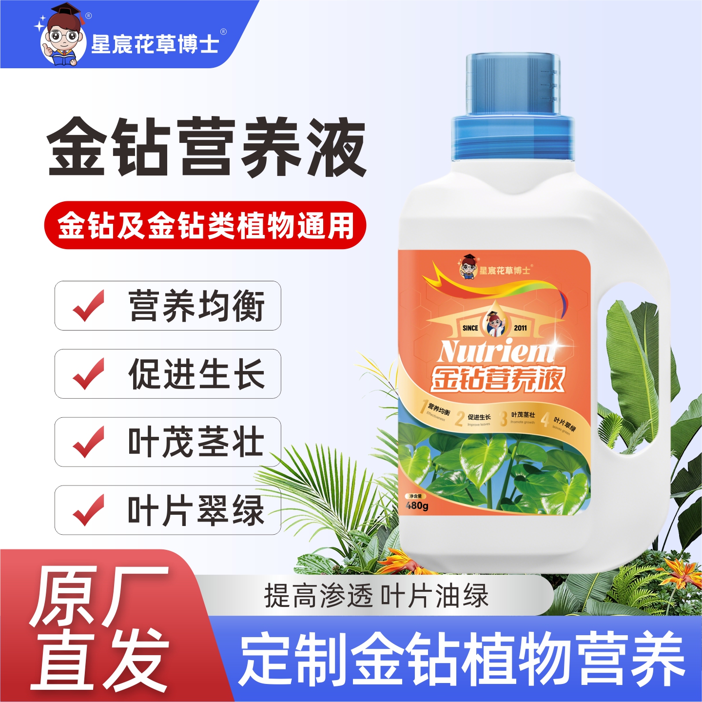 水培金钻专用营养液官方正品