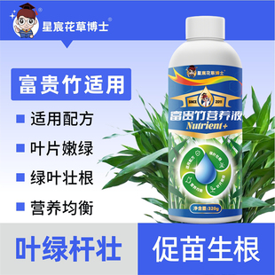 富贵竹水培专用营养液治叶子发黄室内节节高龙竹转运竹通用液体肥