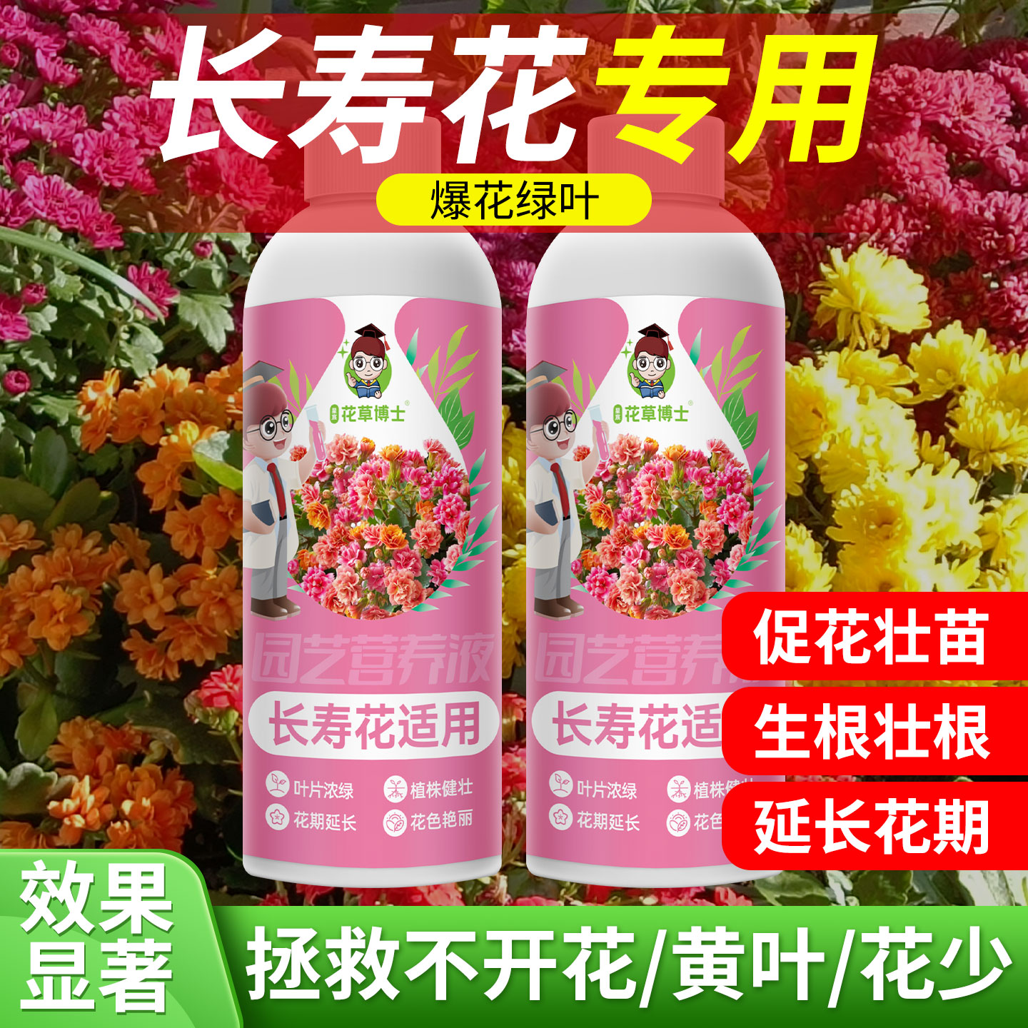 长寿花专用肥料促开花营养液家用养花花卉盆栽花苞生根催花复合肥