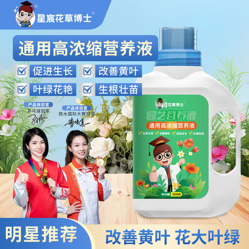 营养液植物通用型花肥发财树富贵竹绿萝水培盆栽家用花卉养花肥料