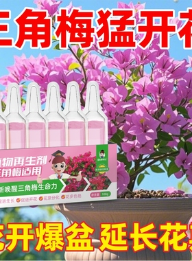 三角梅营养液再生剂盆栽家庭花卉爆花枝繁叶茂催花促花开花液通用