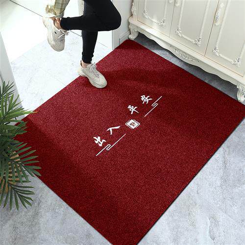 进门垫,入户门室内地垫_大山谷图库